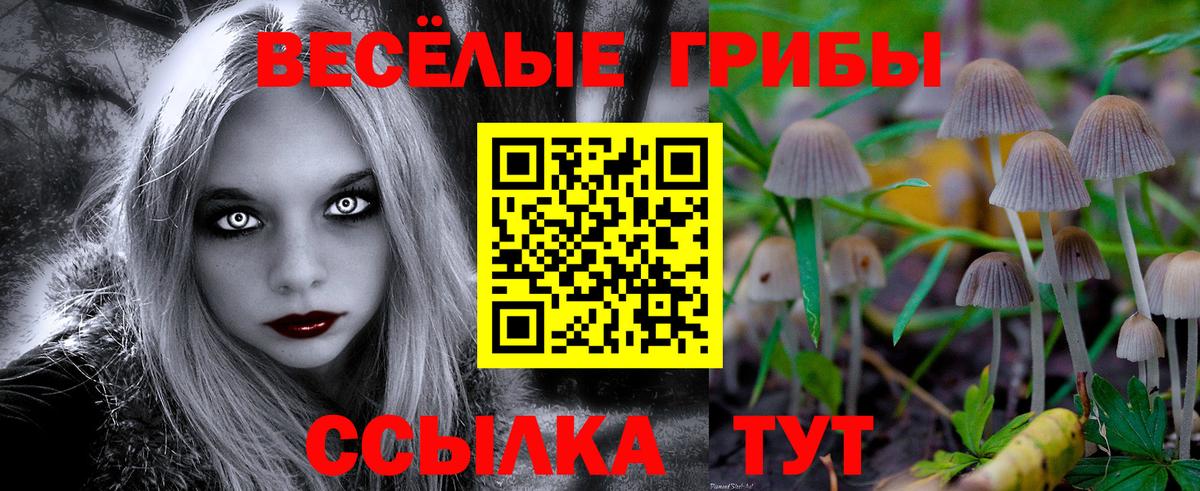 Псилоцибиновые грибы мицелий Коломна